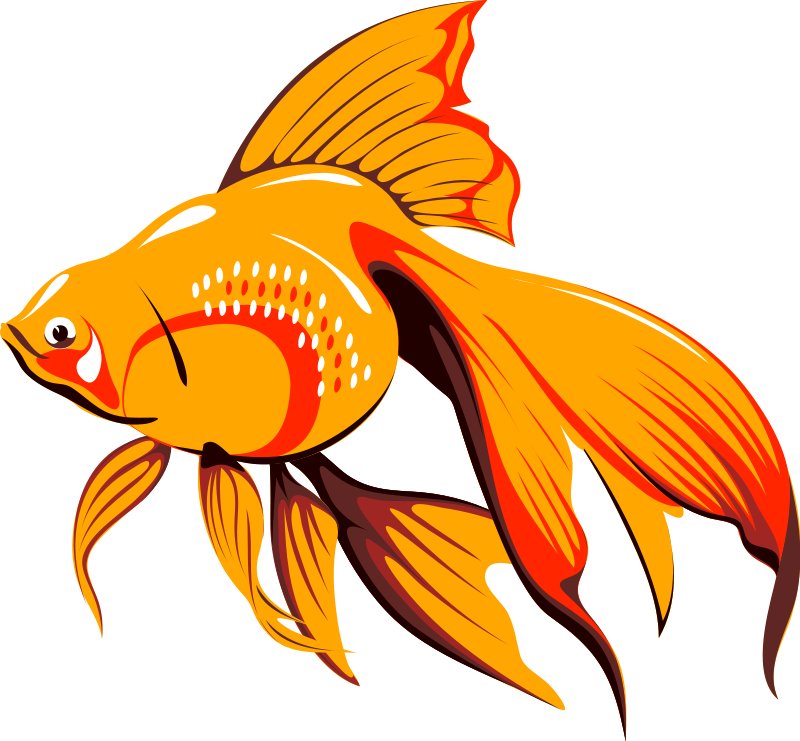 Goldfish Clip Art Download
