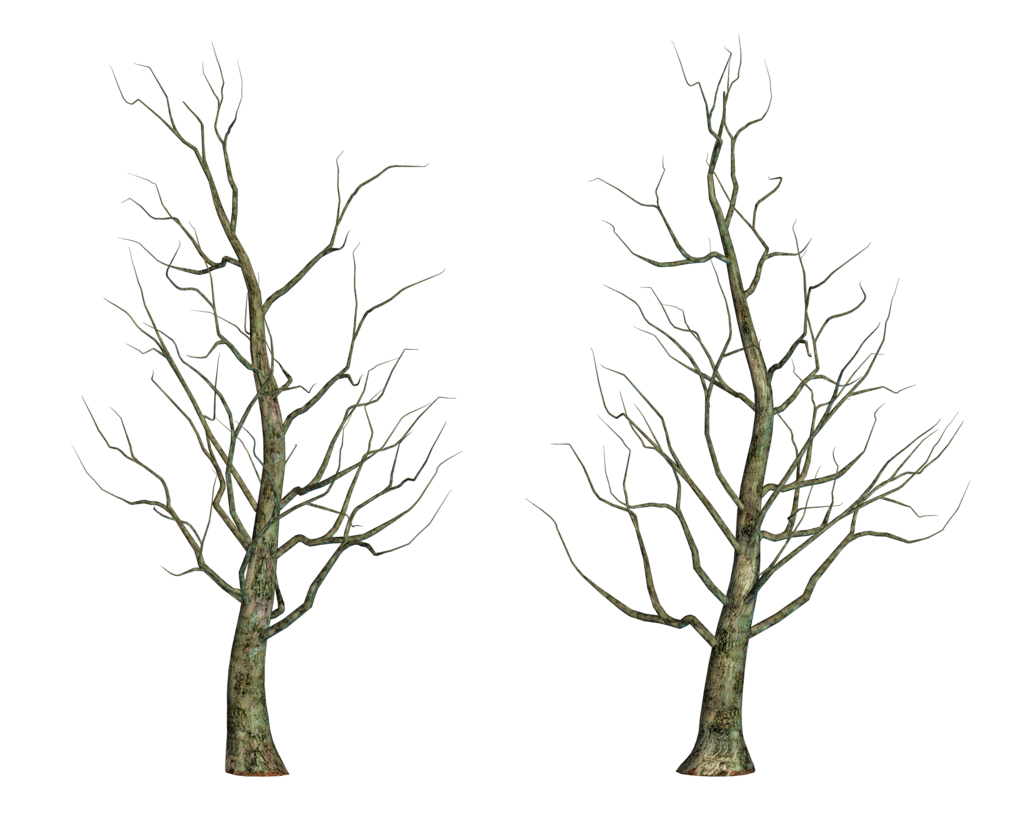 Leafless Tree Png images