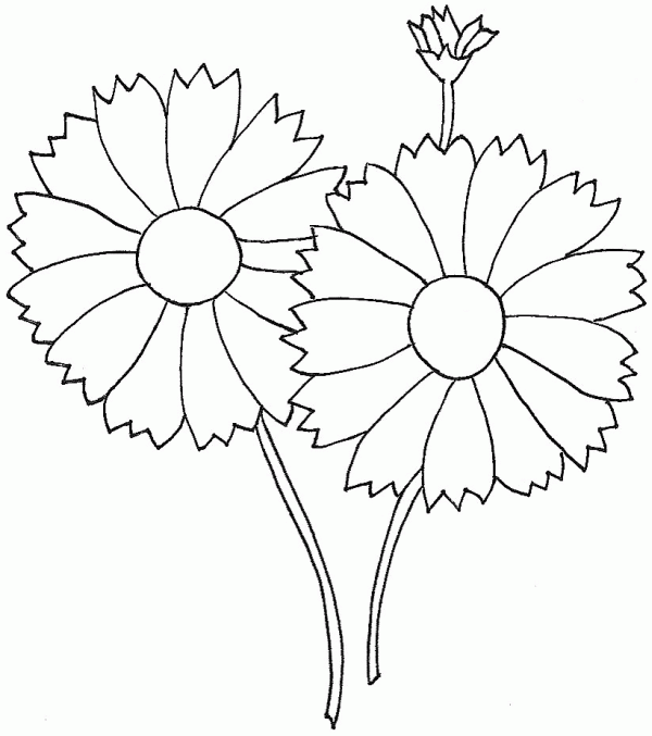 Free Flowers Template 2