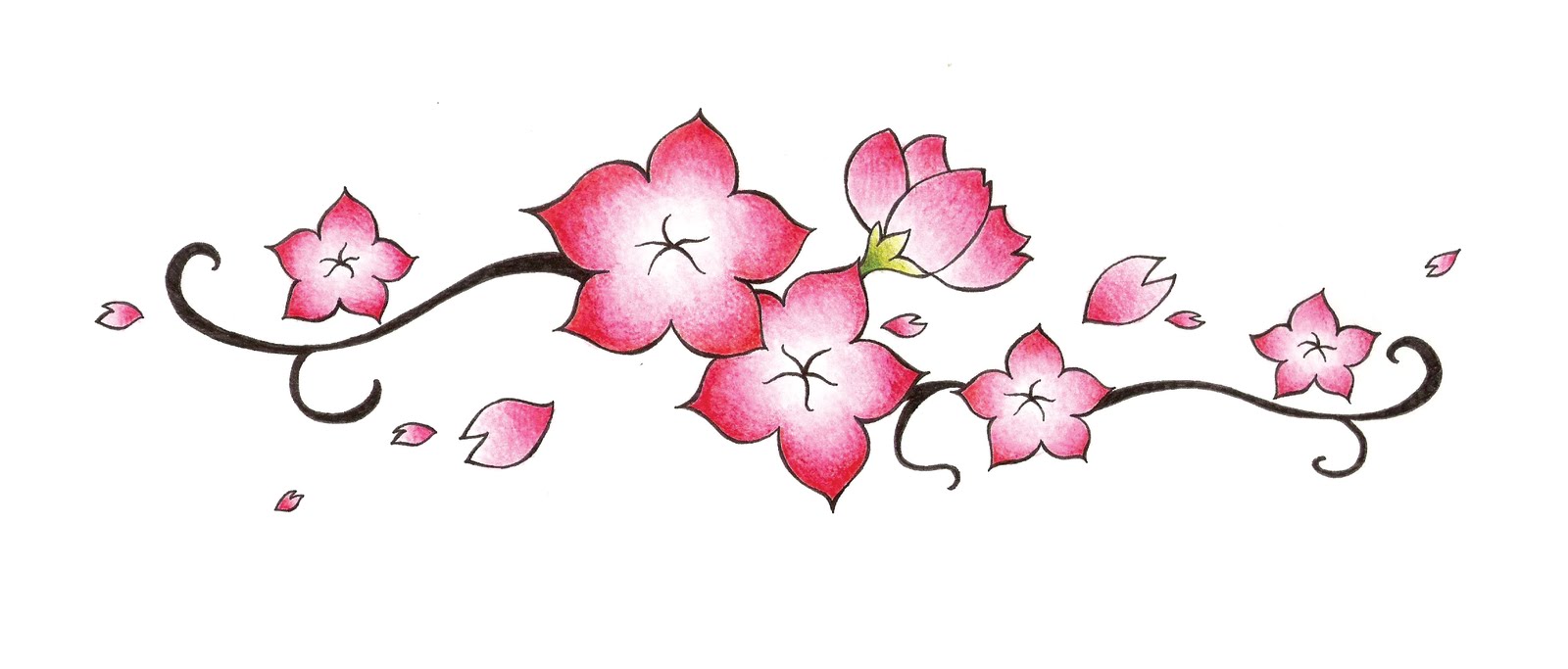 cherry blossom flower drawing - Clip Art Library