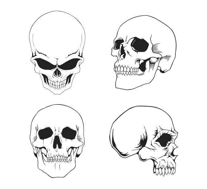 Free Vector Skulls Pack by artamp on Clipart library