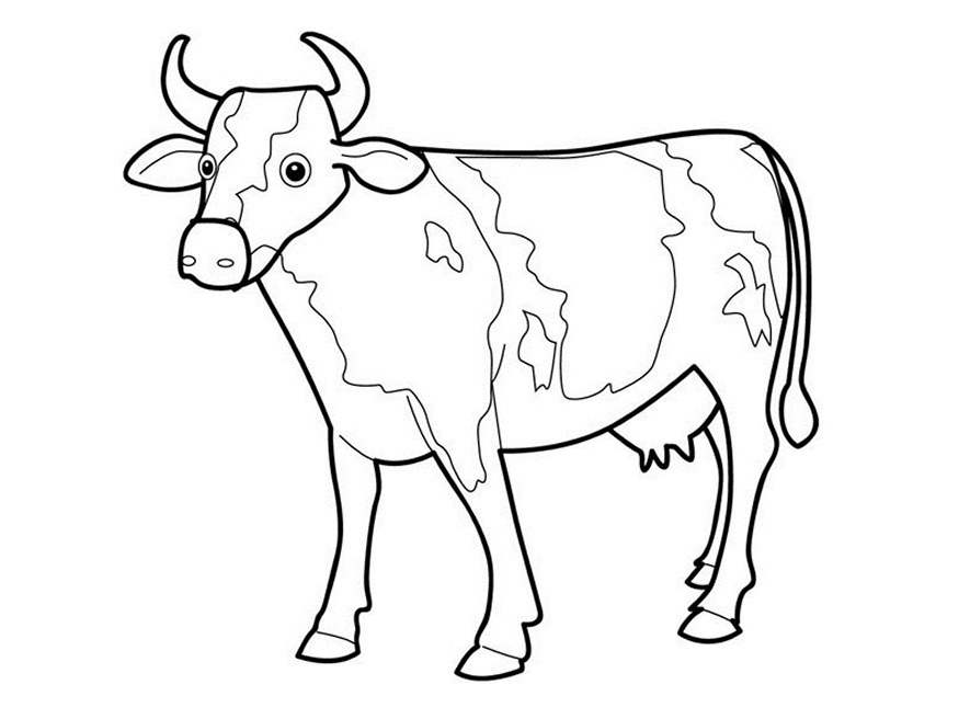 cow clipart simple - photo #49