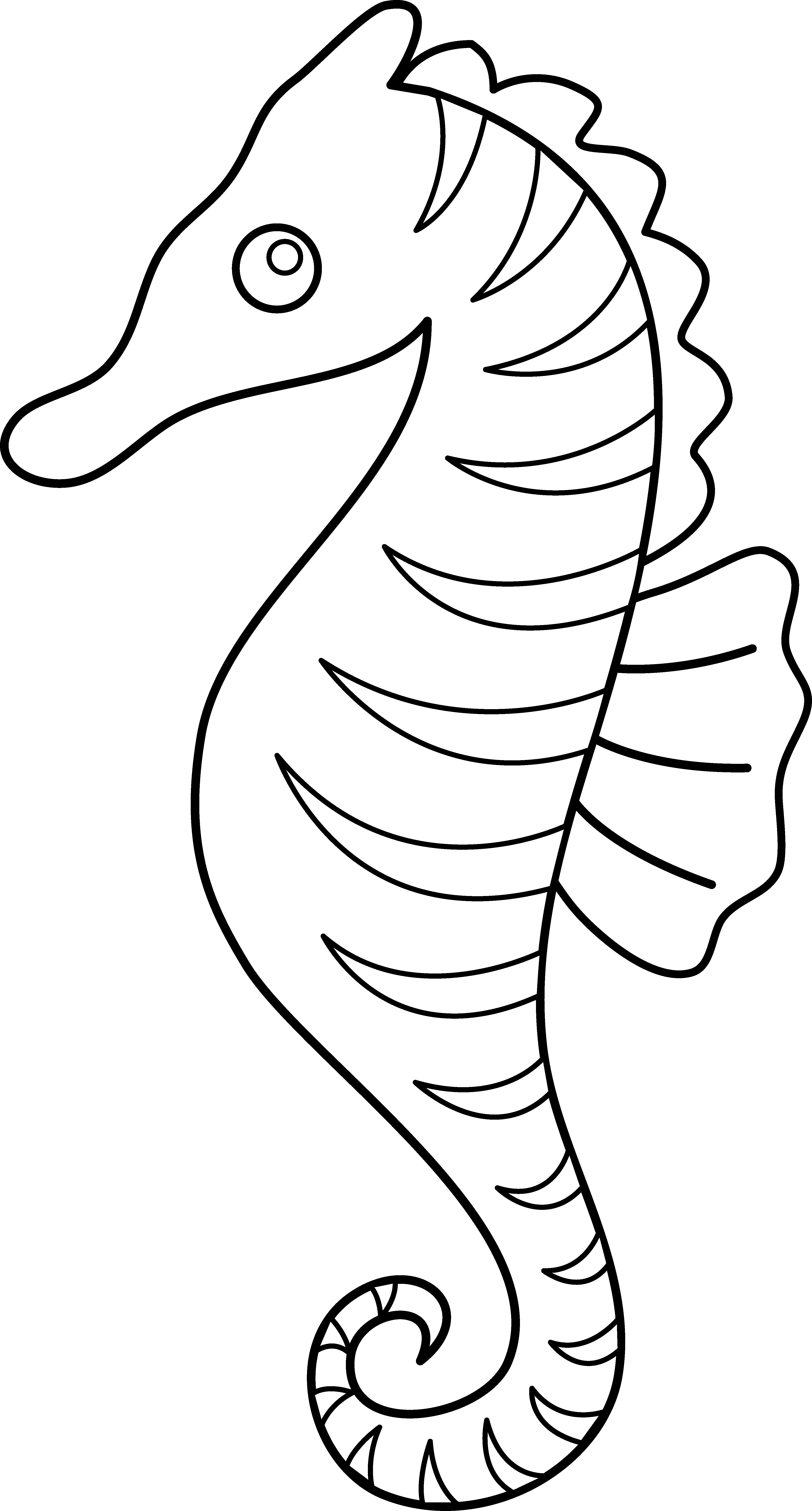 Free Sea Horse Outline, Download Free Sea Horse Outline png images