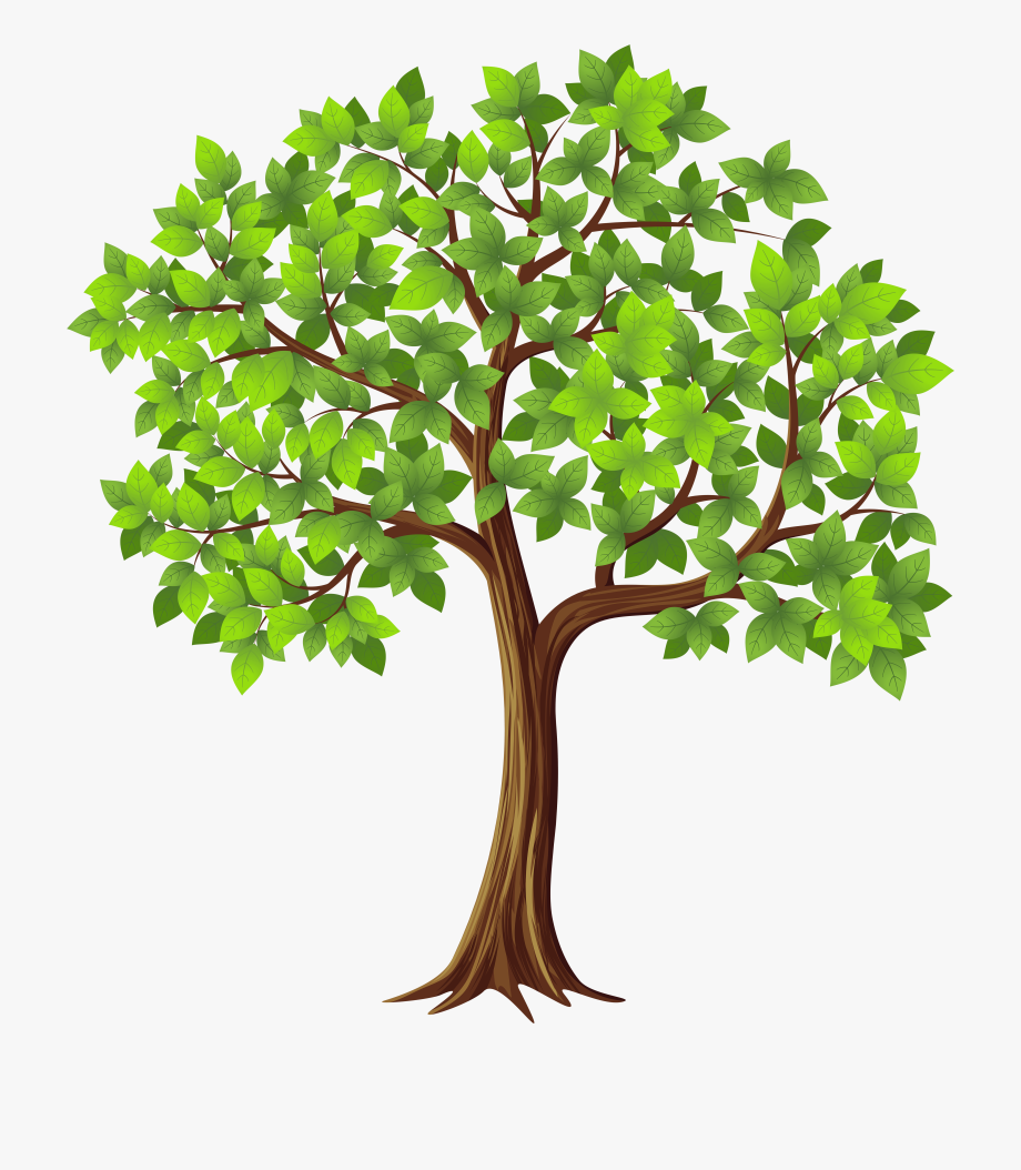 Whimsical tree PNG transparent by madetobeunique on Clipart library