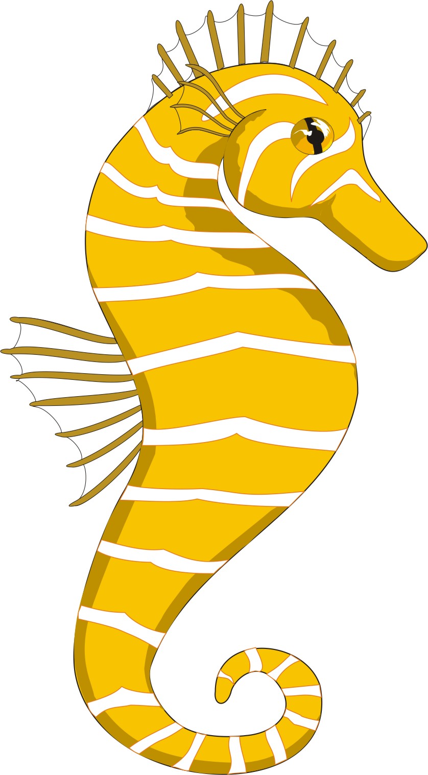 Free Seahorse Cartoon Pictures, Download Free Seahorse Cartoon Pictures png  images, Free ClipArts on Clipart Library