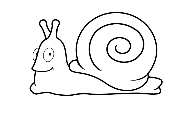 Adobe Illustrator Cartoon Snail Tutorial � Illustration Info