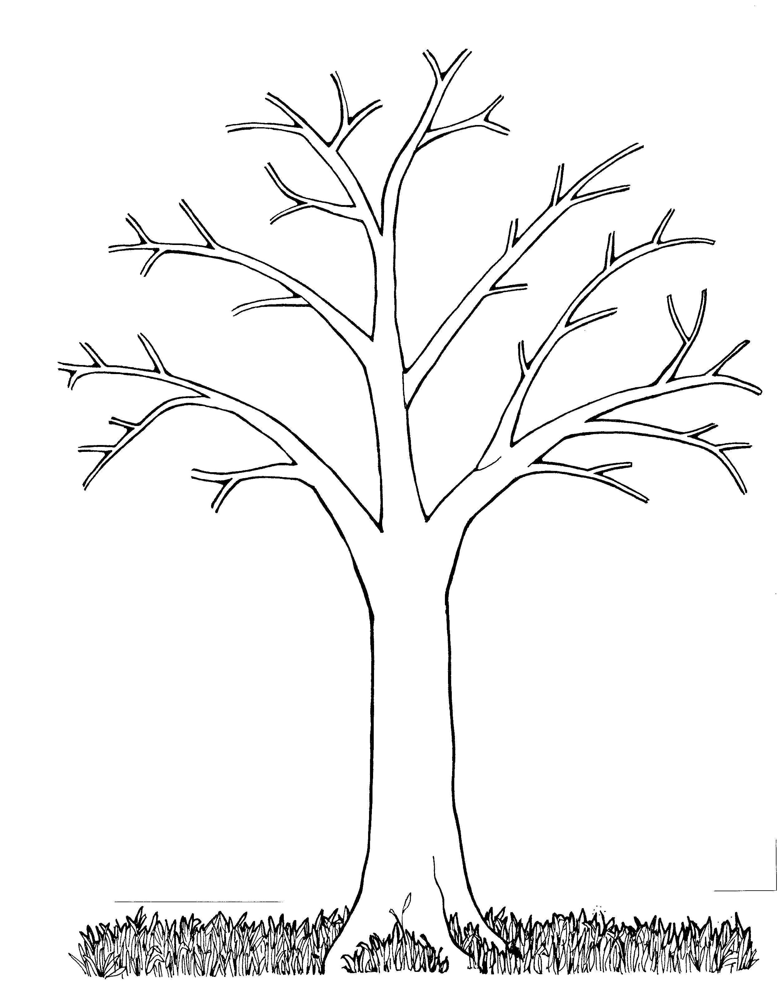 Free Leafless Tree Outline Printable Download Free Leafless Tree 