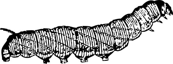 Free Caterpillar Outline, Download Free Caterpillar Outline png images