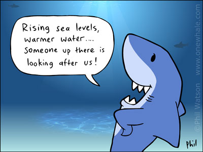 Shark cartoon 158