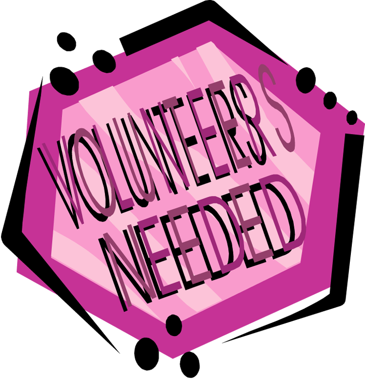 Volunteers for Youth Justice -