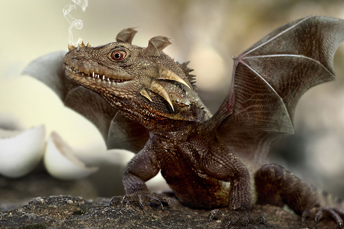 realistic dragon with baby mom