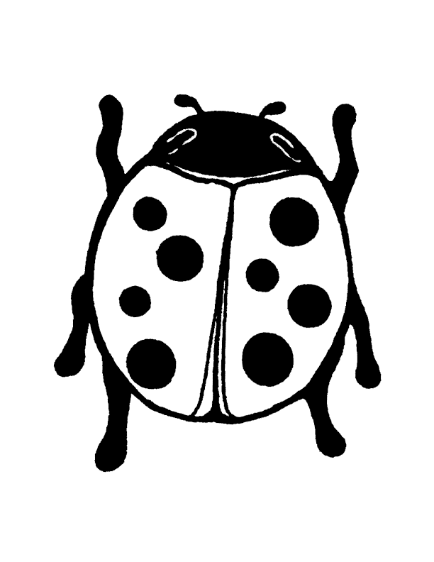 Pin Lady Bug Outline 