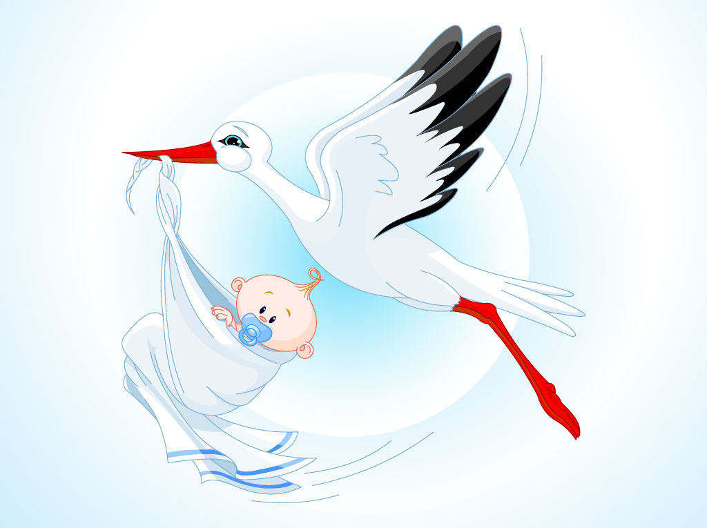 Stork Baby Cartoon