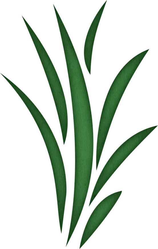 Seaweed Clip Art