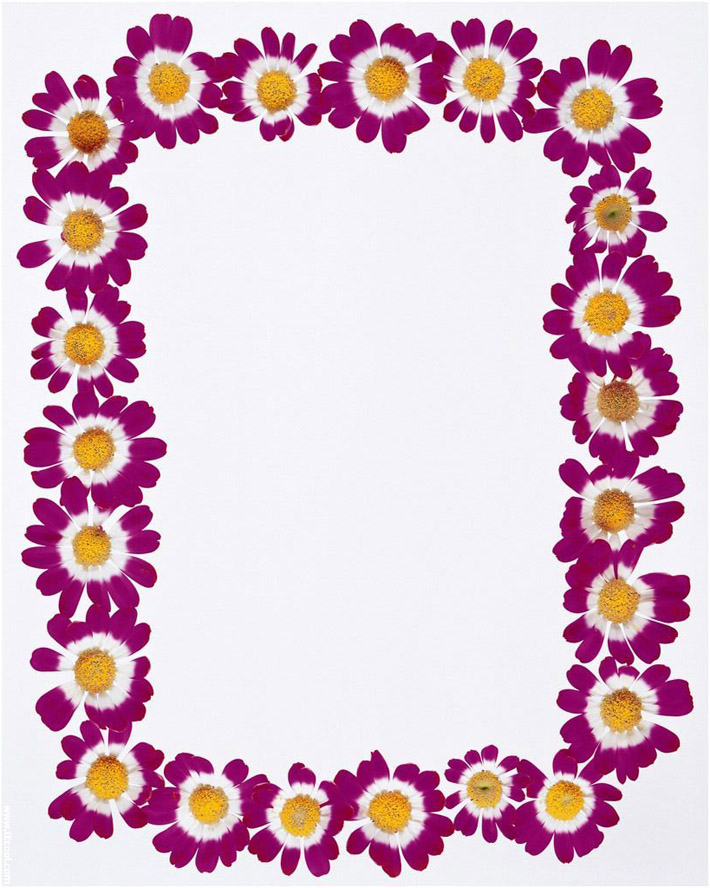 Free Free Border Templates Download Free Free Border Templates Png
