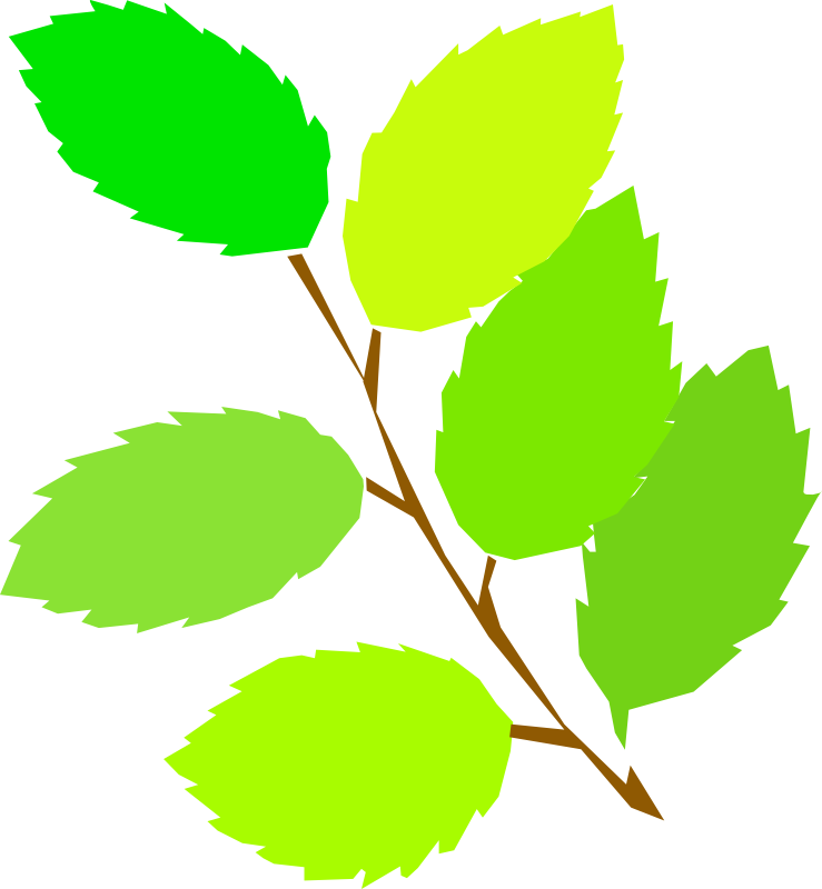 Clipart - simple spring, new leaves