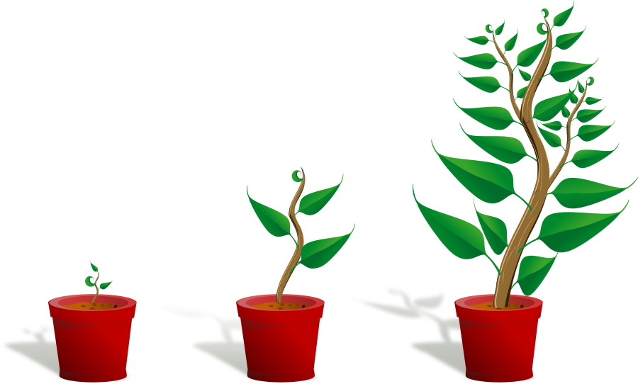 Potted Plant Clipart