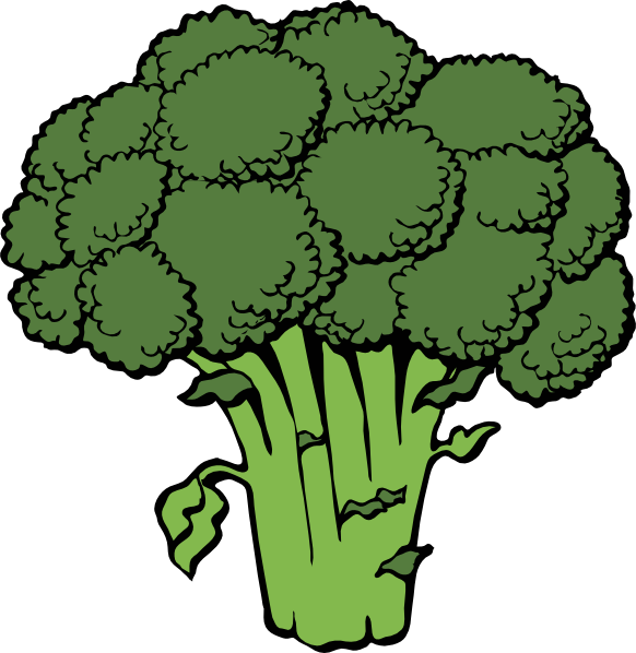 Broccoli clip art - vector clip art online, royalty free  public 