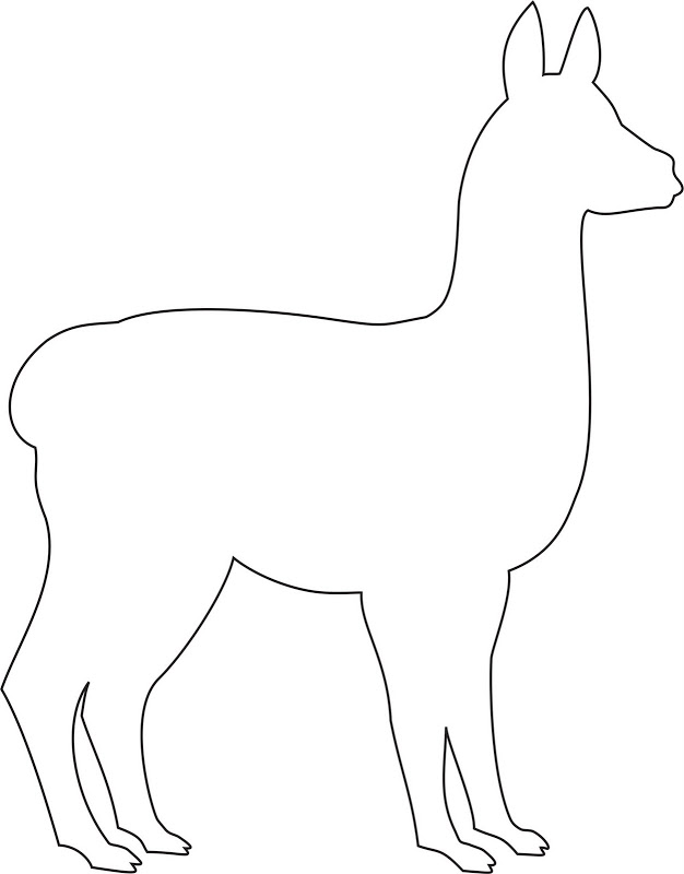 Images For  Llama Outline