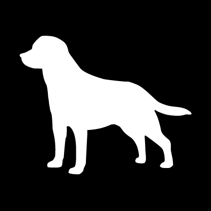 Got Labrador Retriever Dog Breed Silhouette Graphic Decal Sticker 