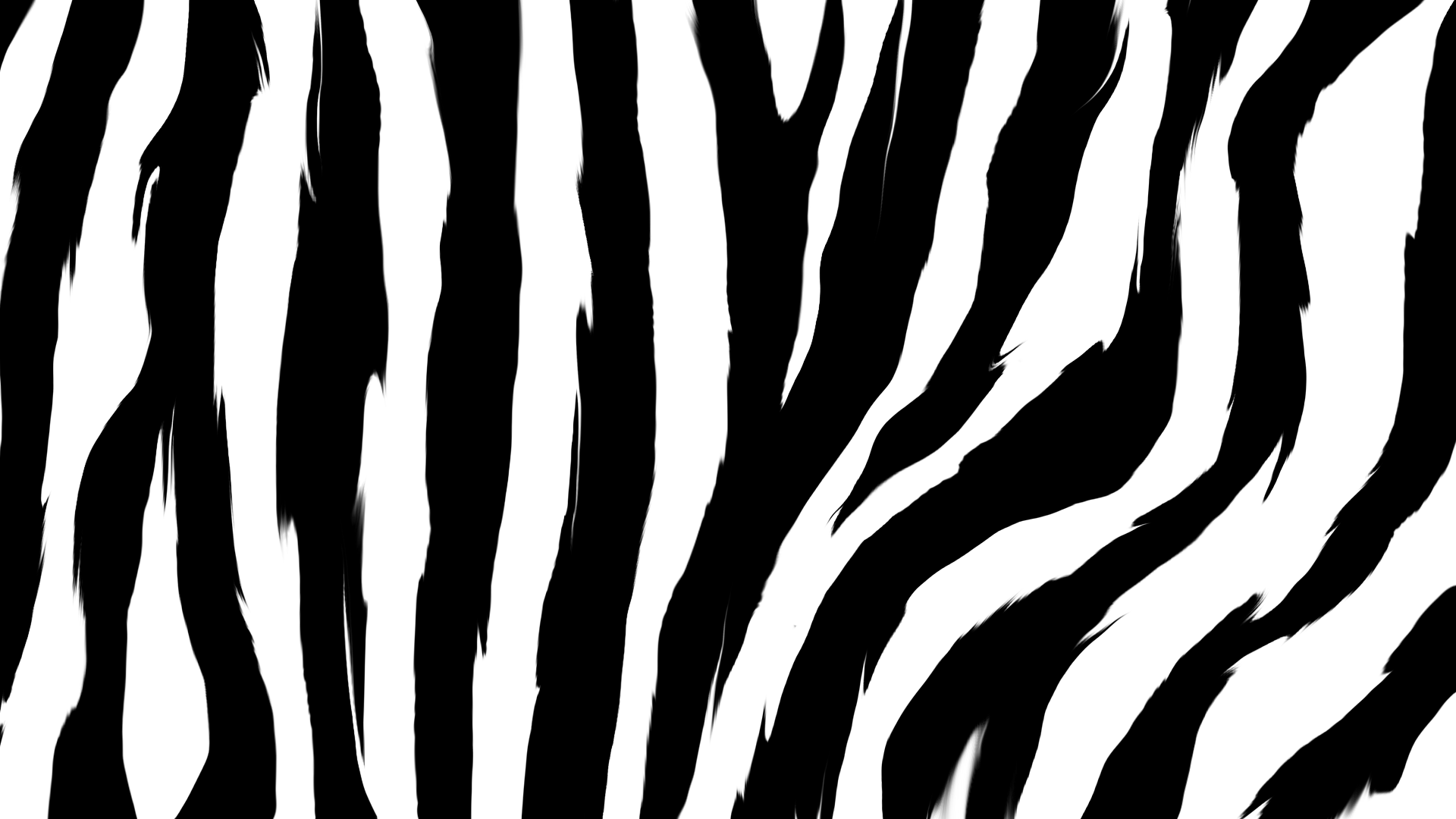 Zebra Pattern Wallpaper And Backgrounds | cute Wallpapers