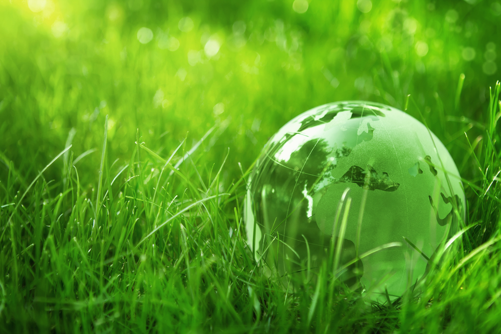 Why GO GREEN! | Pool Operation Management