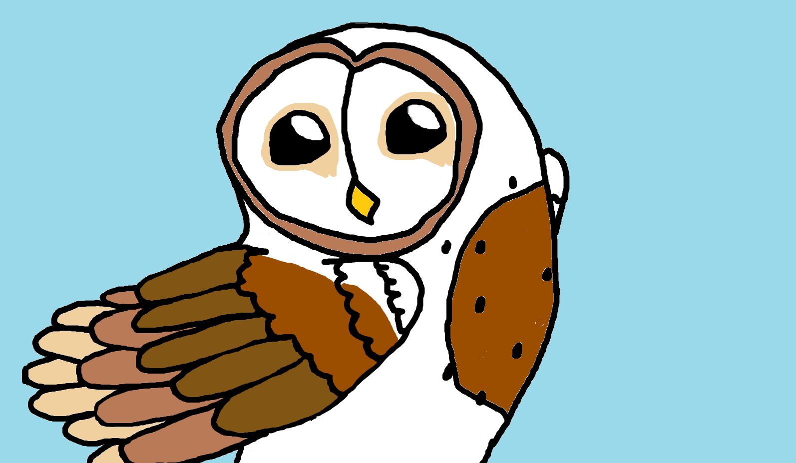 Free Owl Animation Download Free Owl Animation Png Images Free