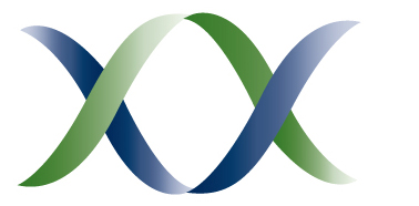 adobe photoshop how can i create a double helix graphic clip