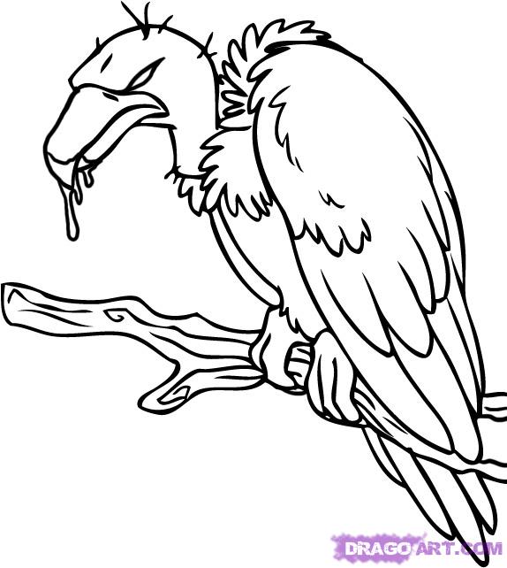 How to Draw a Cartoon Vulture, Step by Step, Cartoon Animals 