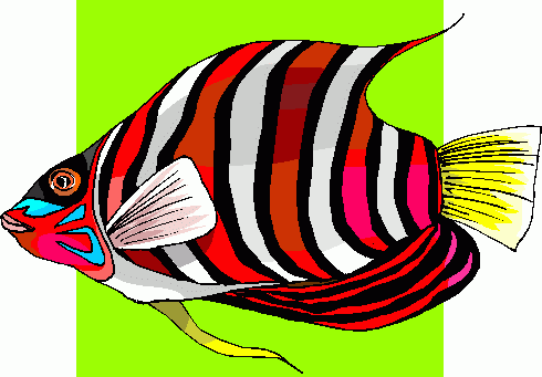 Angel Fish Clipart | Clipart library - Free Clipart Images