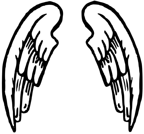 Angel Wings And Halo Clip Art Black And White - Clipart library