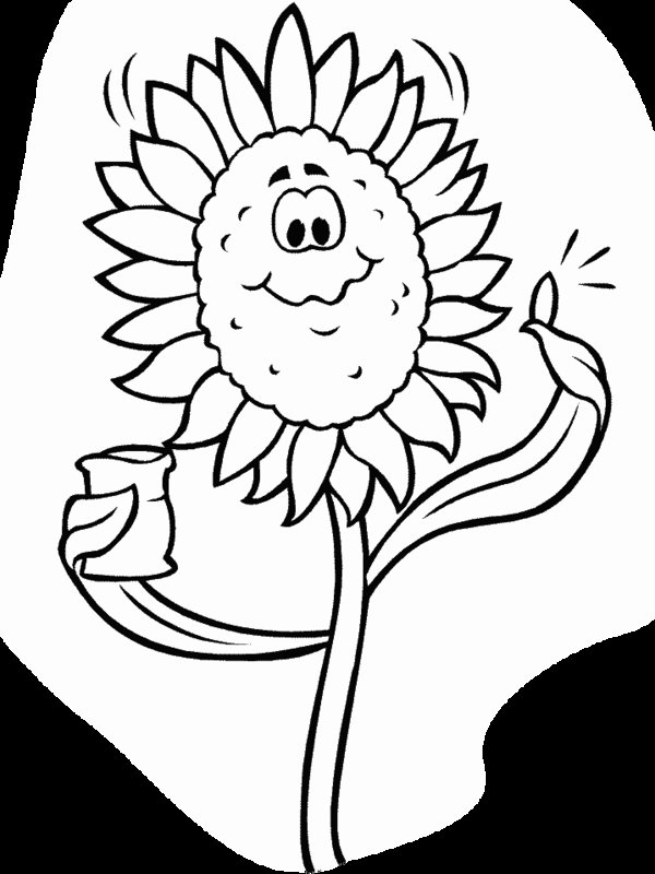 beautiful sunflower Colouring Pages