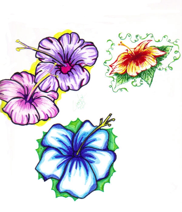 Hibiscus Flower Tattoo by SnipersAngel on Clipart library