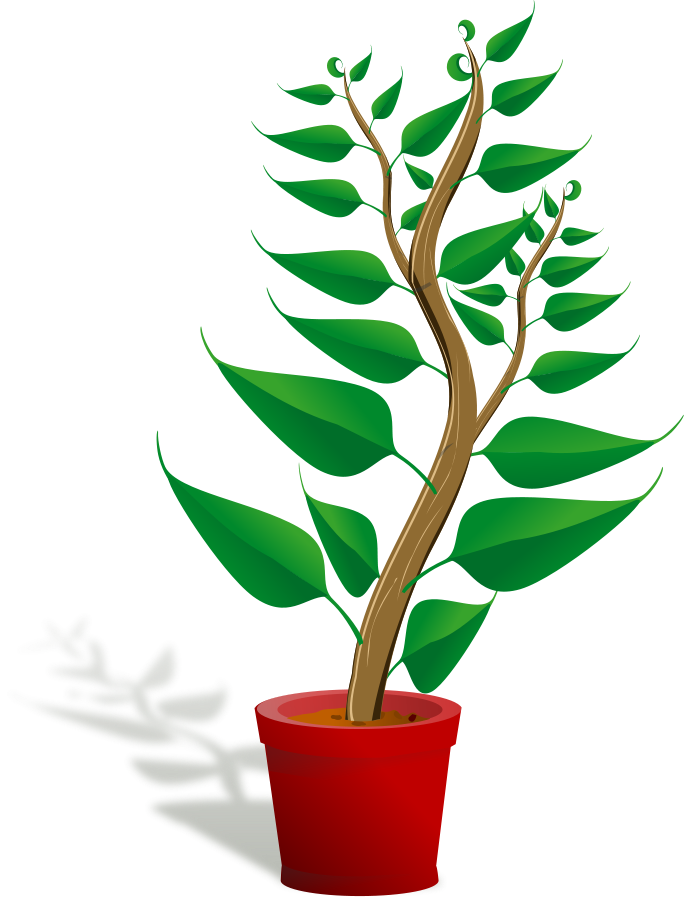 Ornamental plant Clipart, vector clip art online, royalty free 