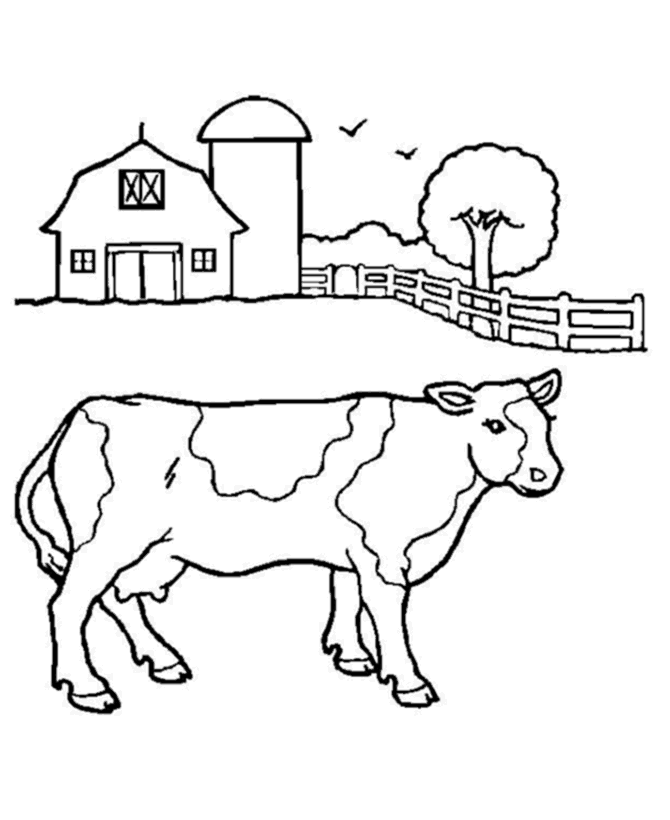 Barn Cow Coloring | Coloring