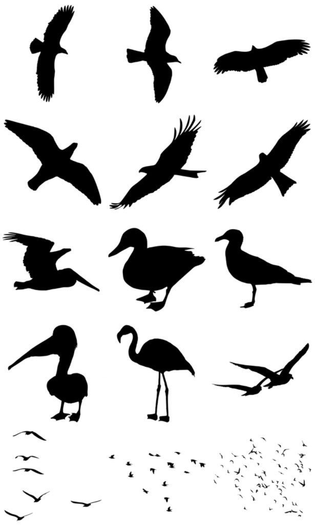 Flying Birds Silhouettes | school forest | Clipart library
