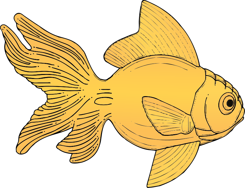 Free Goldfish Clip Art