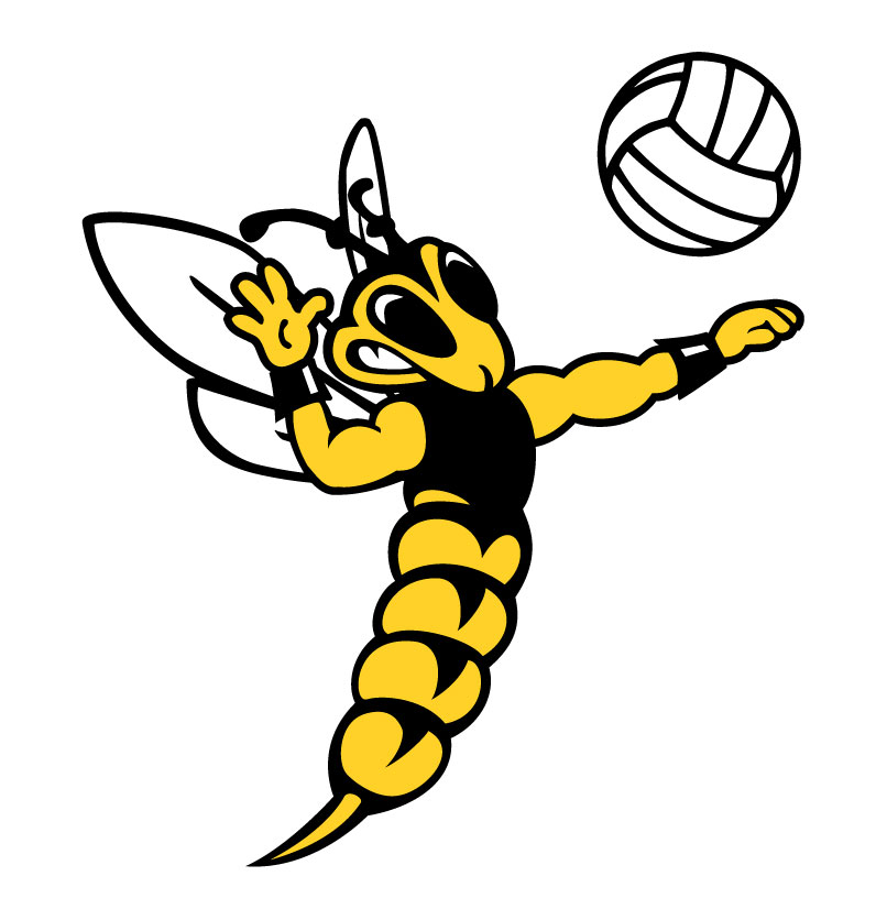volleyball clipart free download - photo #28