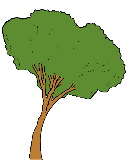 Free Cartton Tree, Download Free Cartton Tree png images, Free ClipArts on  Clipart Library