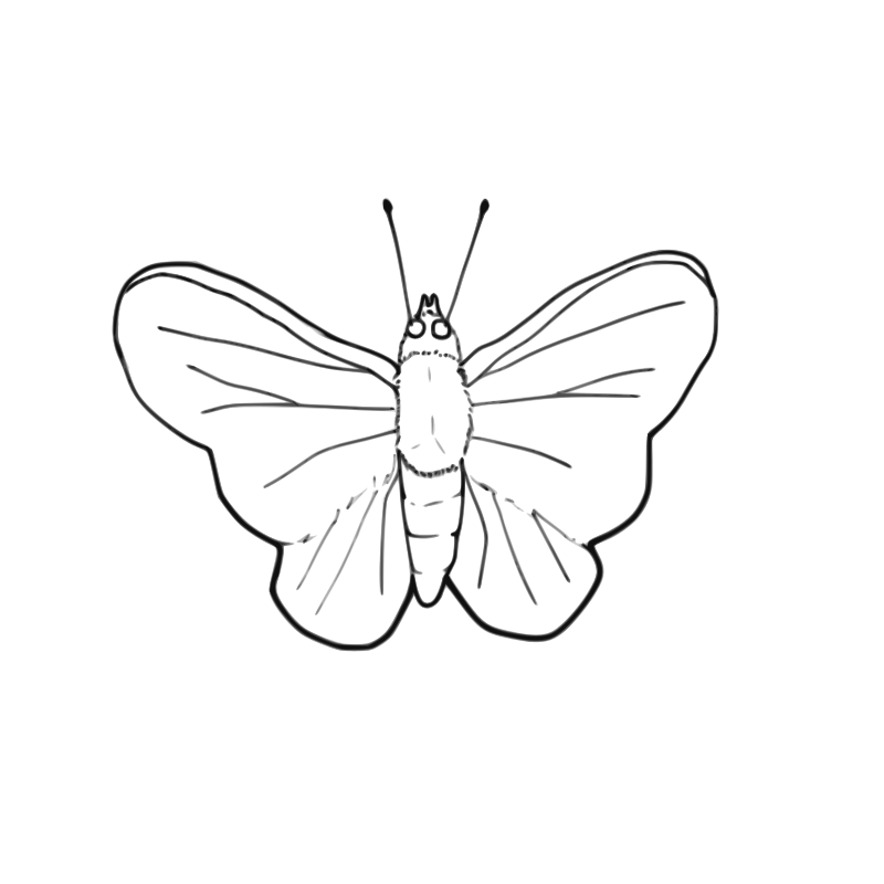 Clipart - Butterfly (line art)
