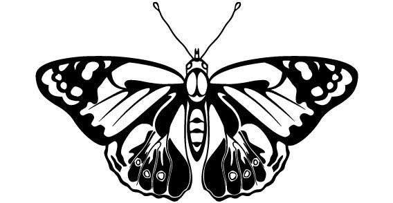 Black and Whine Butterfly vector - Download free Animal vectors