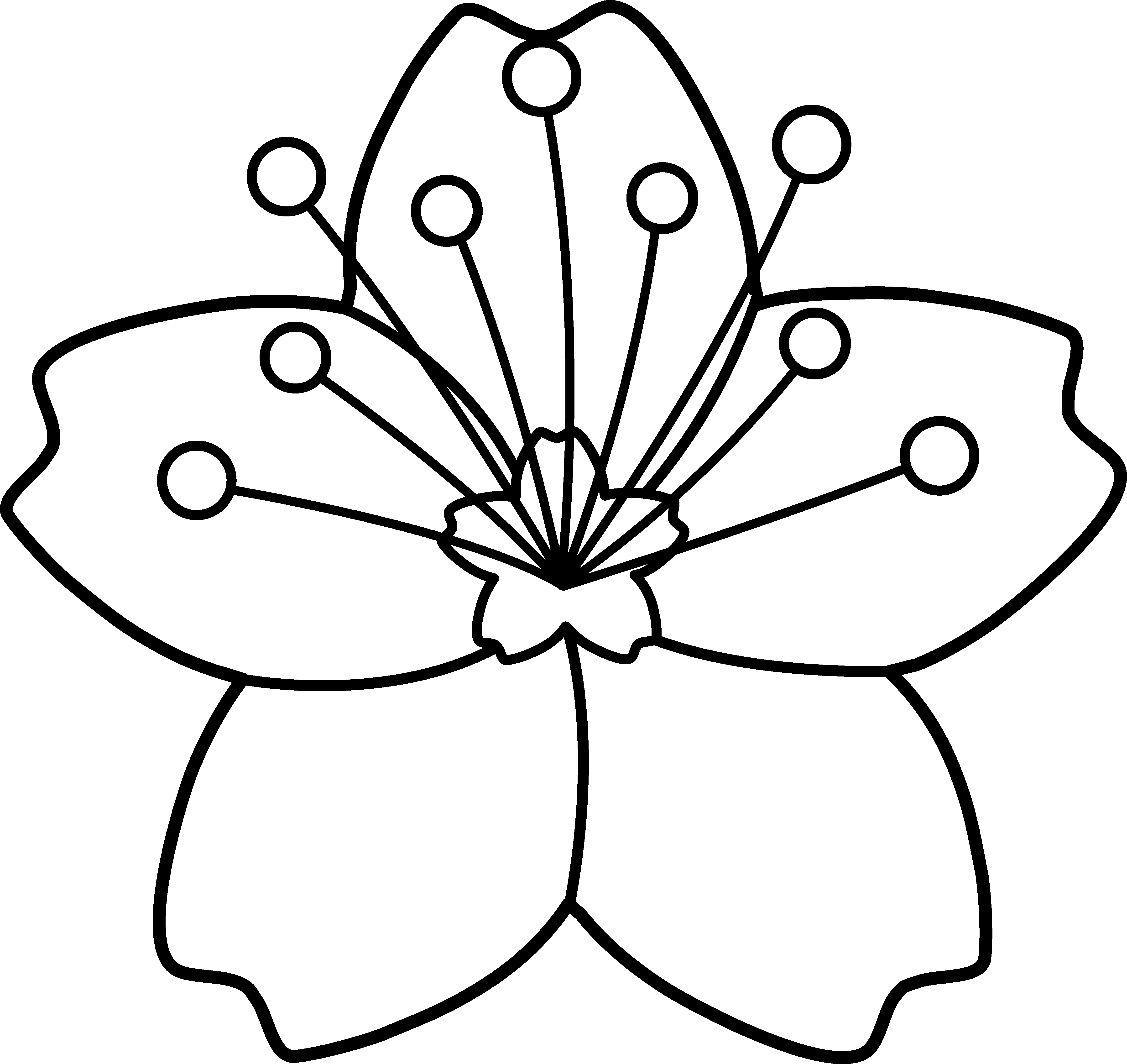Free Simple Flower Outline, Download Free Simple Flower