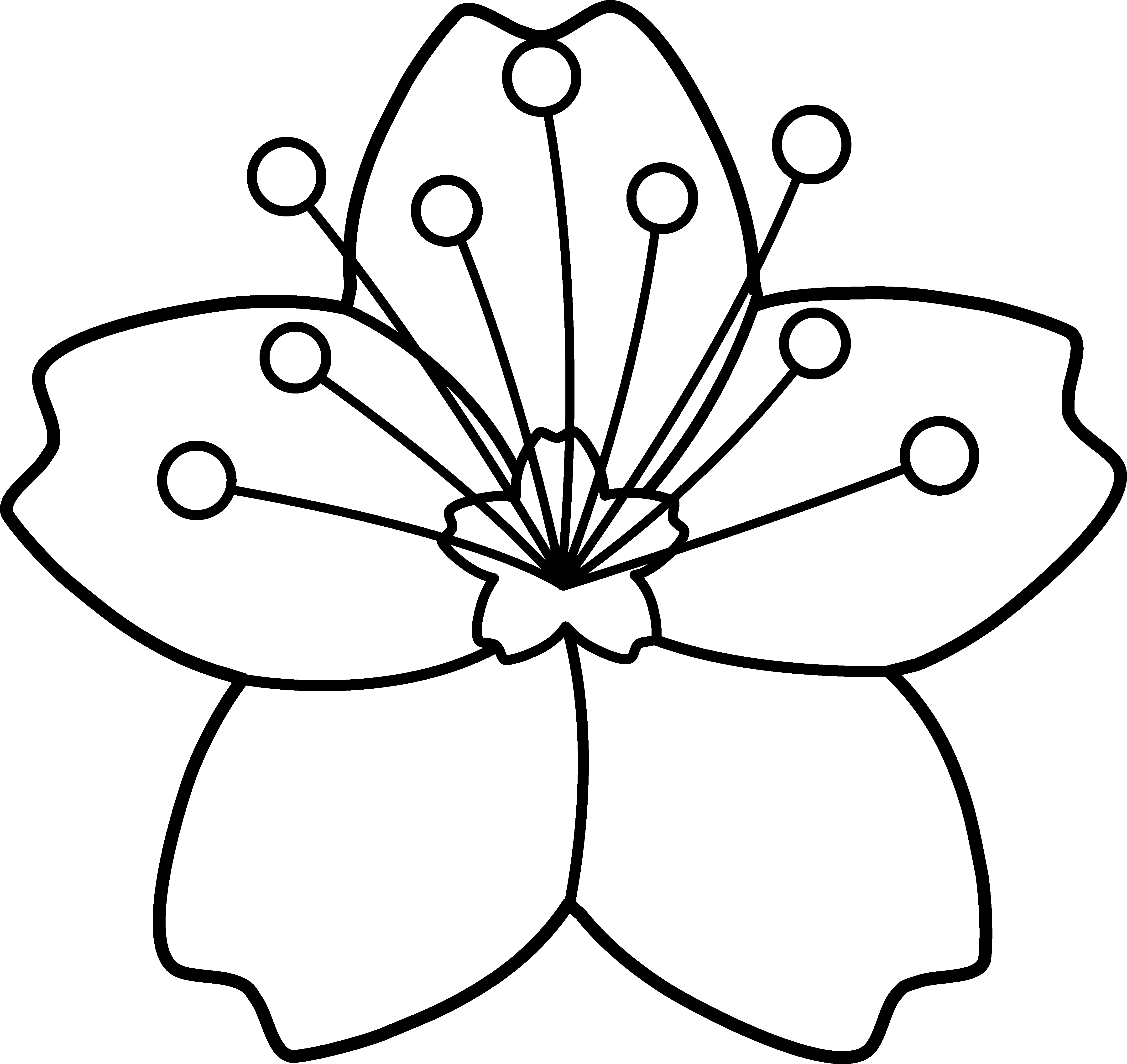 clipart flower outline - photo #47