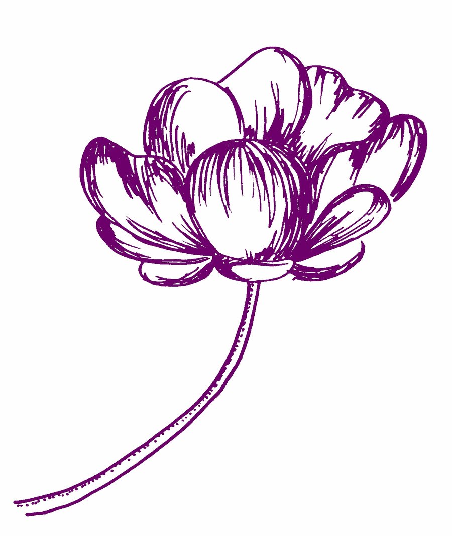 Free Pictures Of Flower Drawings, Download Free Pictures Of Flower