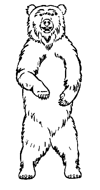 a bear standing Colouring Pages (page 3)