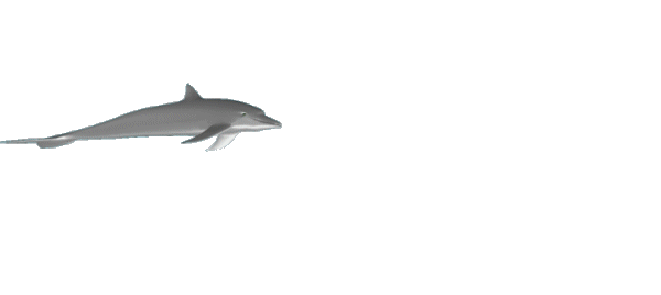 Swimming Dolphin Animations - free original 3D gifs f