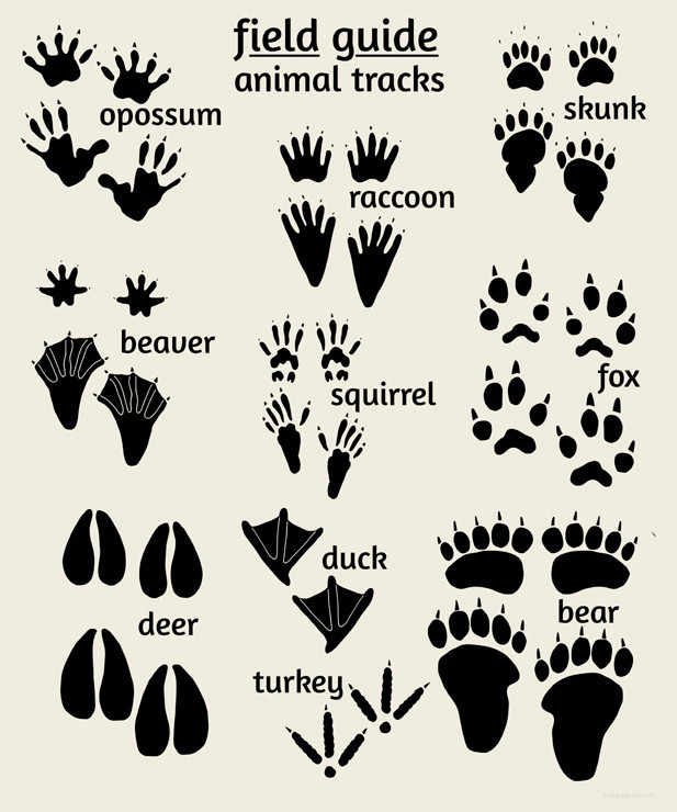 free-animal-footprints-download-free-animal-footprints-png-images