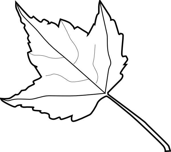 clip art leaves to color - photo #25