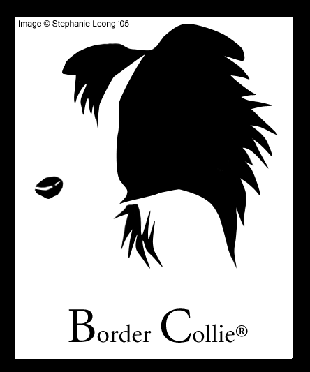 clip art border collie - photo #38