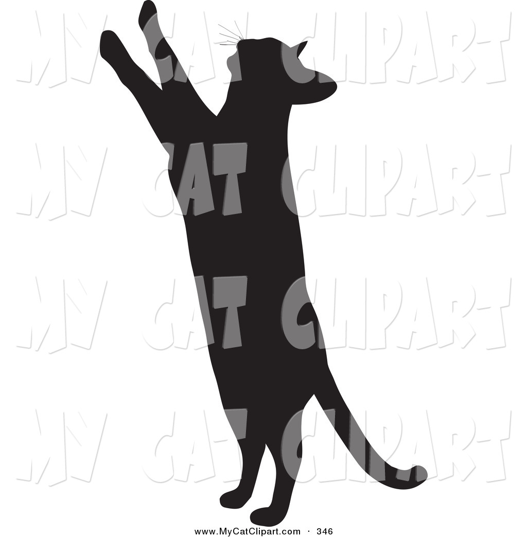 Clip Art of a Curious Cat Silhouetted in Black, Standing up on Its 